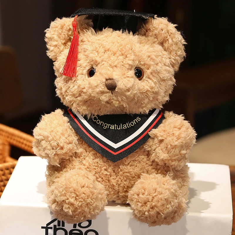 Graduation Teddy Bear