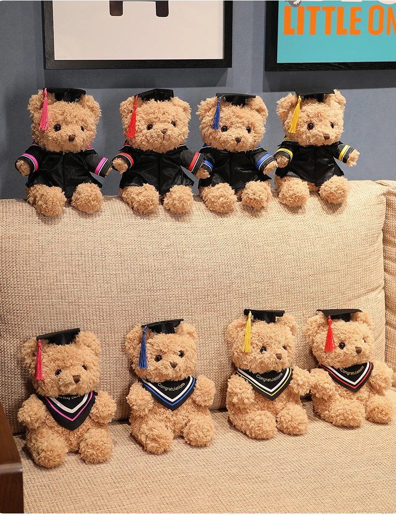 Graduation Teddy Bear
